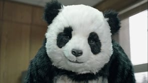 PANDA “Never Say No to Panda”