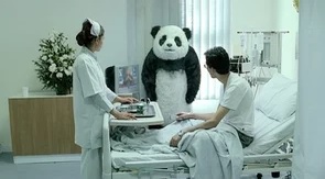 PANDA “Never Say No to Panda”